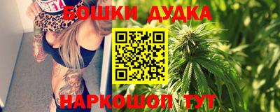 spice Кингисепп
