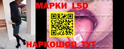 spice Кингисепп