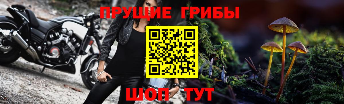Галлюциногенные грибы MAGIC MUSHROOMS  где купить наркотик  Королёв  Псилоцибиновые грибы ЛСД  Вход с VPN 
